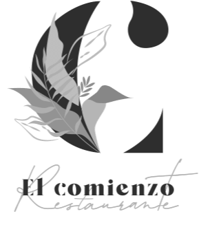 EL COMIENZO
